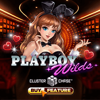 PLAYBOY HOANG DÃ game cover